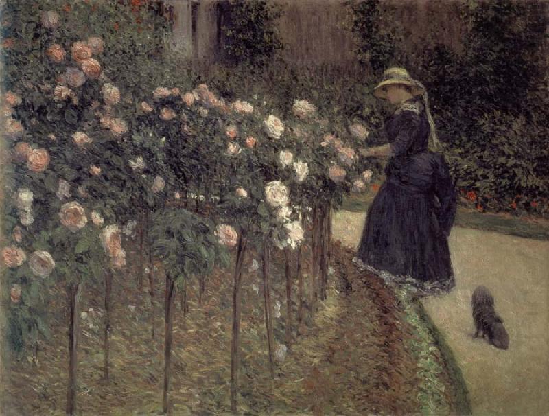 Gustave Caillebotte Roses-The Garden in Petit-Gennevilliers china oil painting image